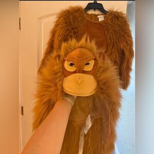 Monkey costume